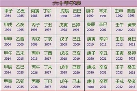 2029年五行|2029年五行属什么？2029年出生是什么命？